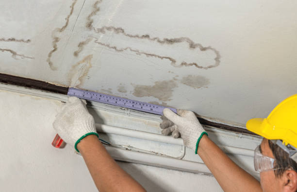 Reliable Mold Remediation contractor in Shelby, MI by Local Water Damage Repair